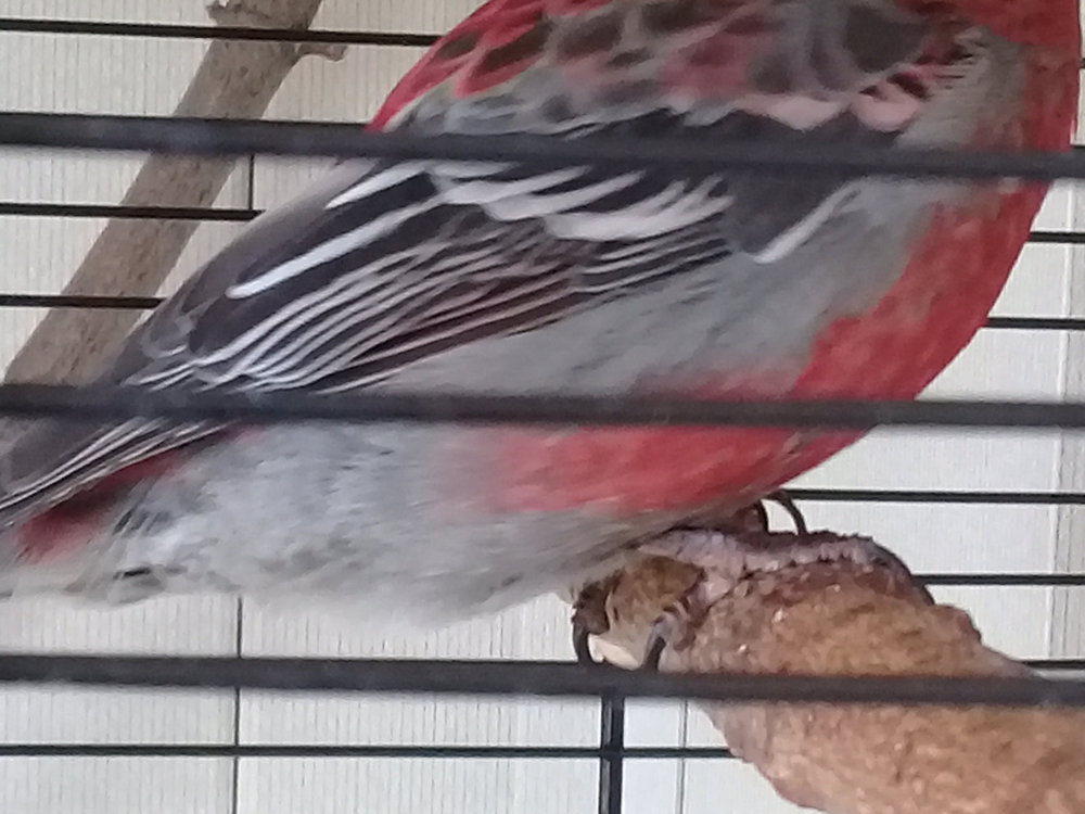 20180428_080115.jpg