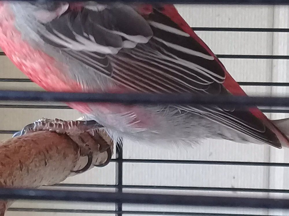 20180428_080307.jpg