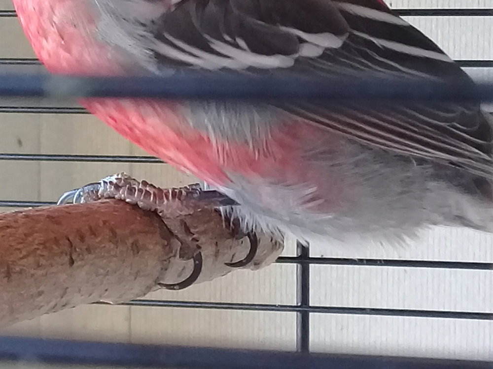 20180428_080322.jpg
