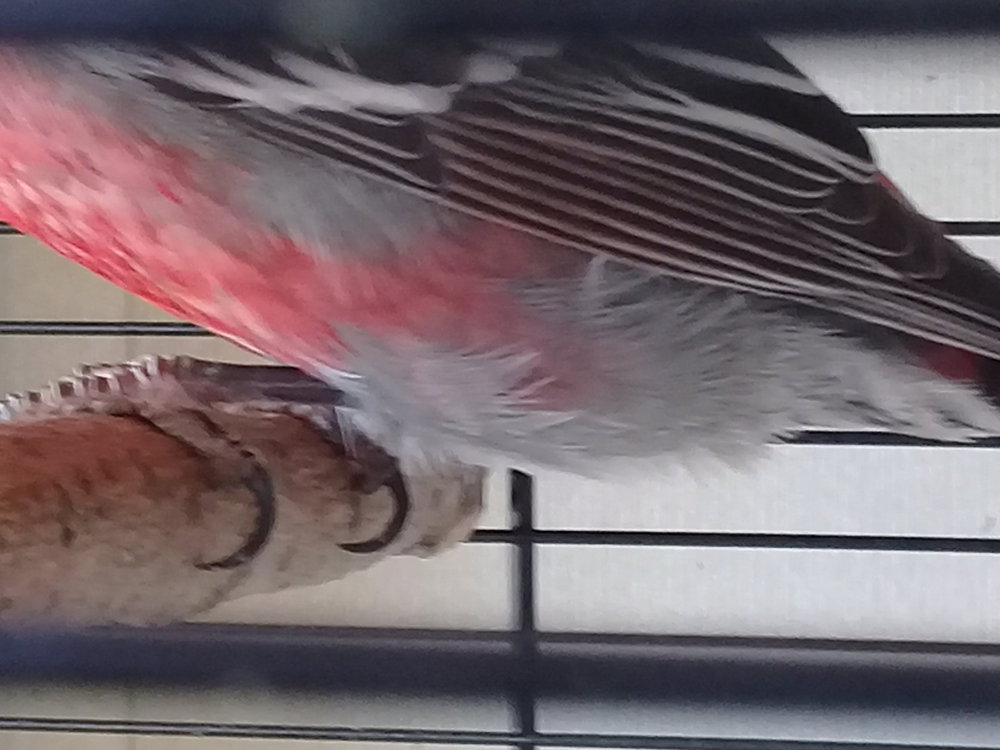20180428_080335.jpg