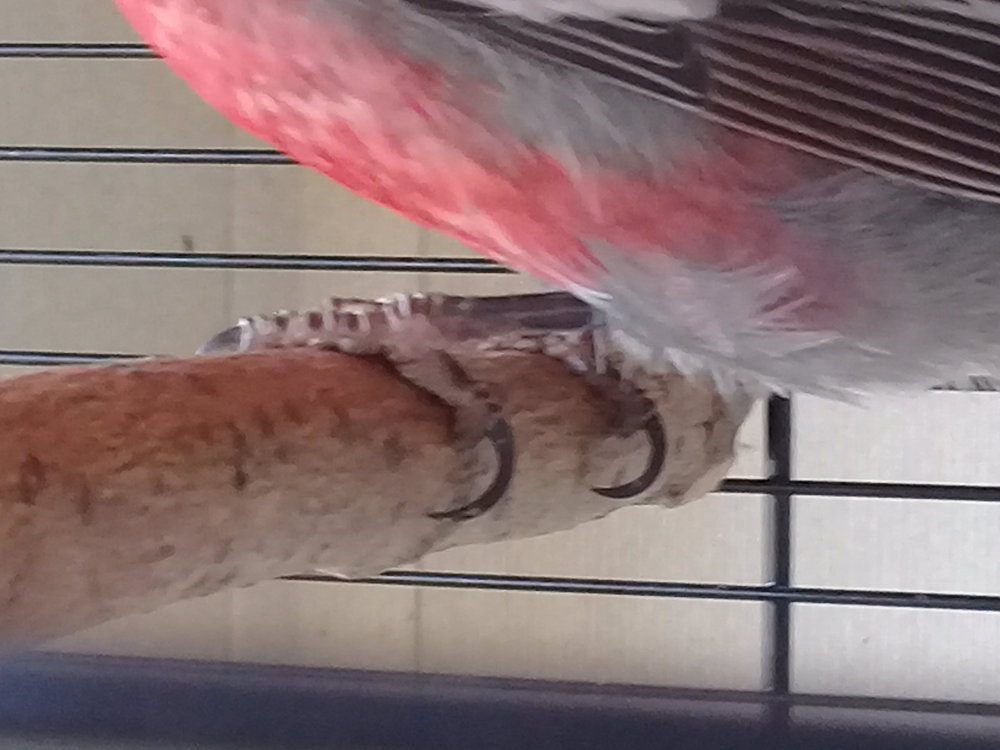 20180428_080342.jpg