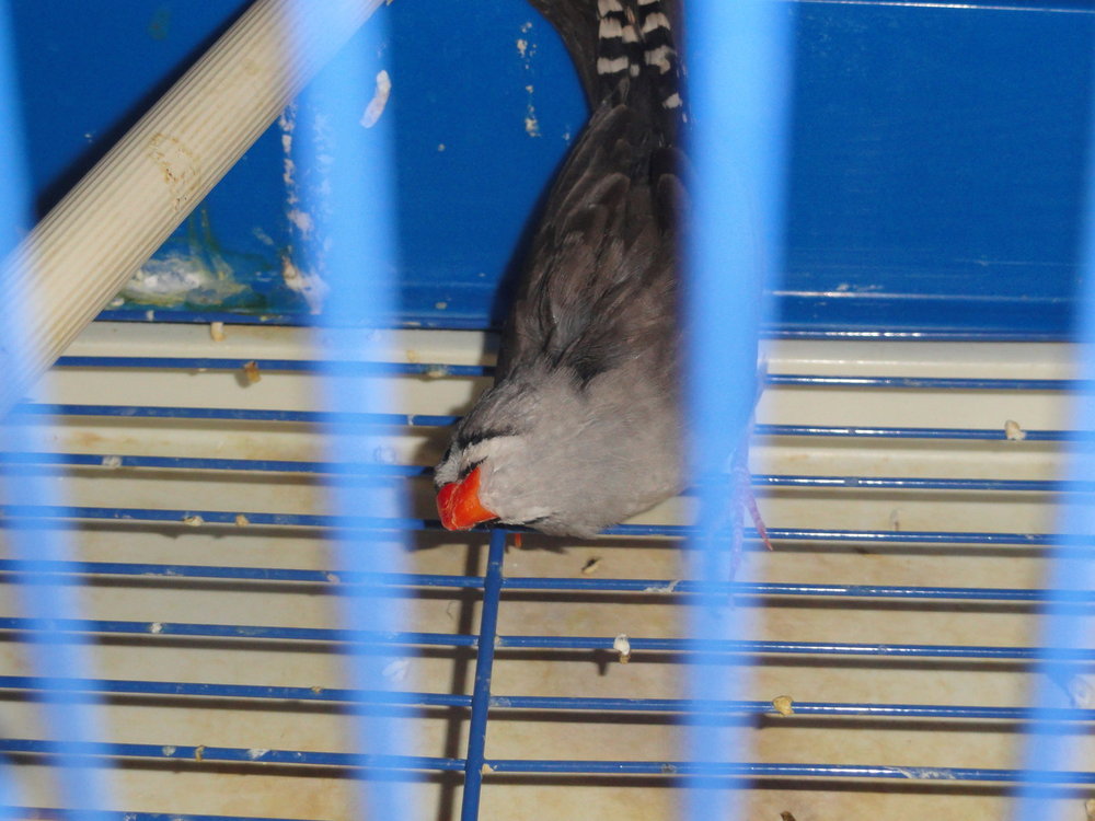 DSC05385.JPG