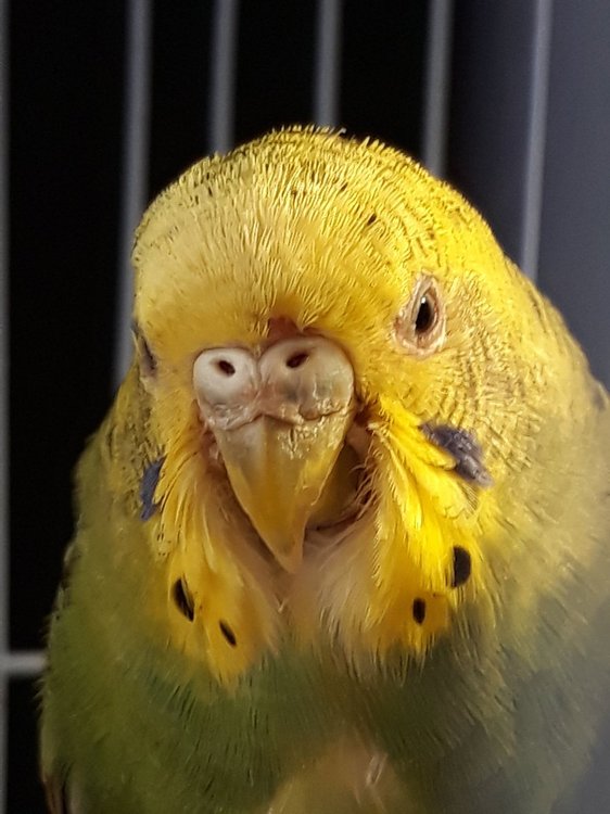20180402_102528.jpg