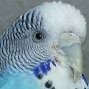 Sergunek