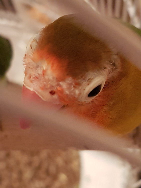 20180501_204829.jpg