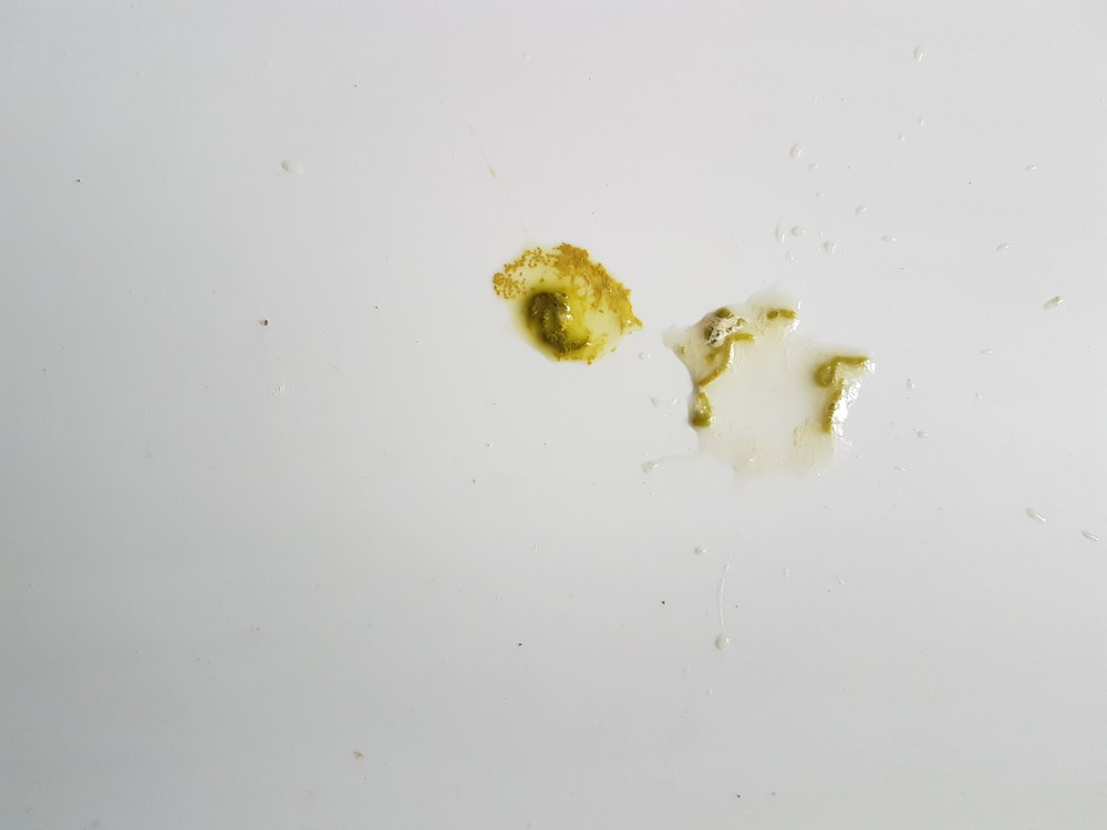 20180506_120528.thumb.jpg.500a2d28ac1afb26681f9aa206baf39a.jpg