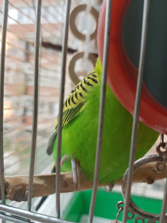 20180506_122509.jpg