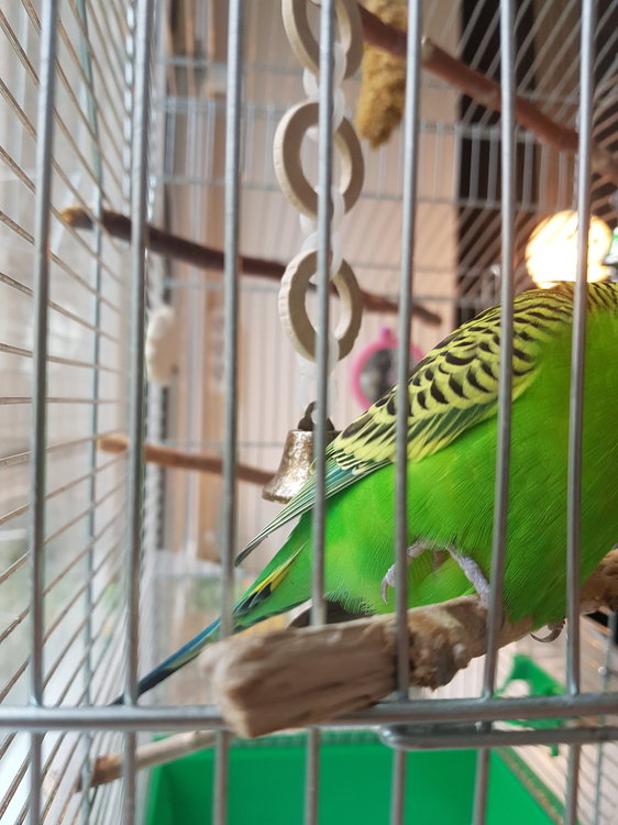 20180506_122519.jpg