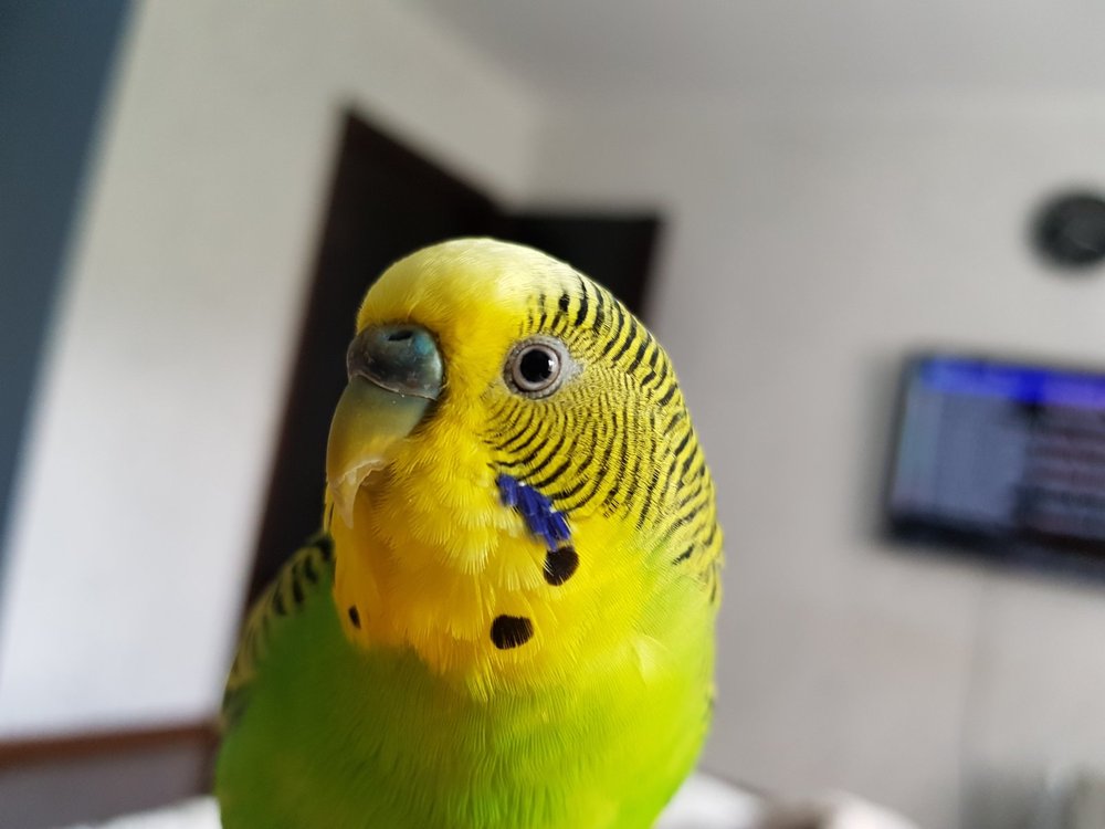 20180512_154140.jpg