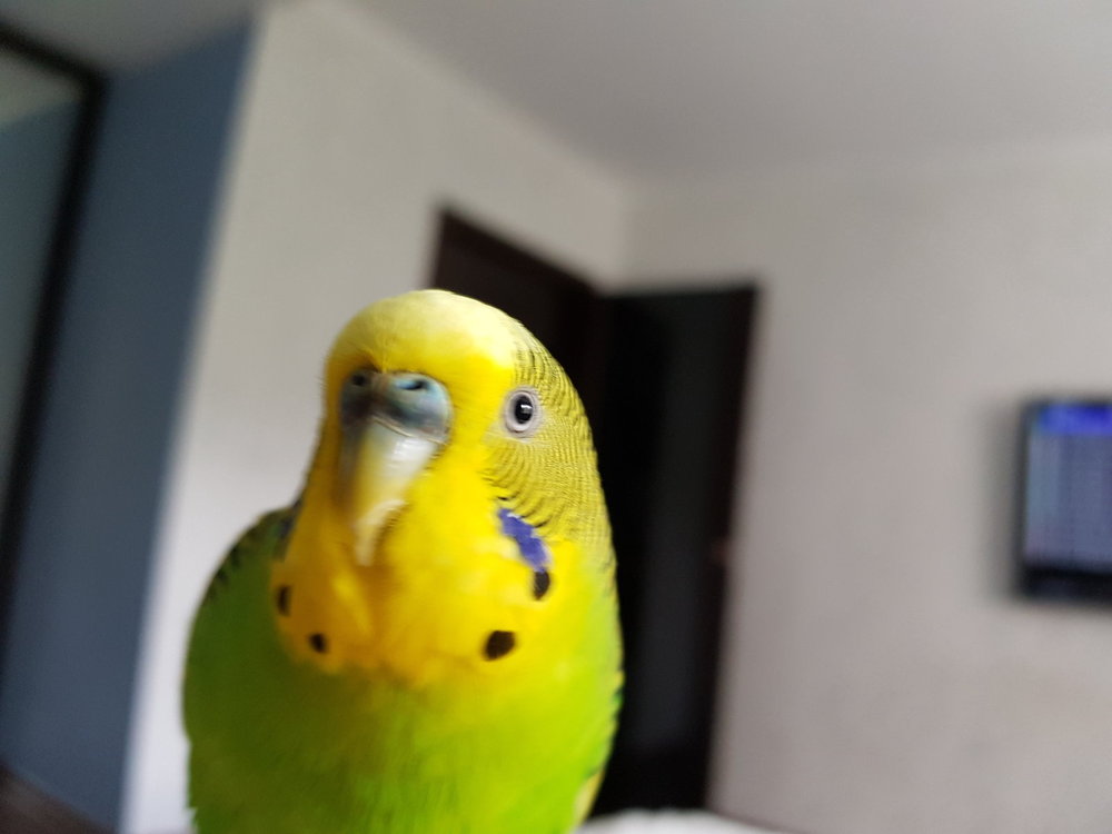 20180512_154157.jpg
