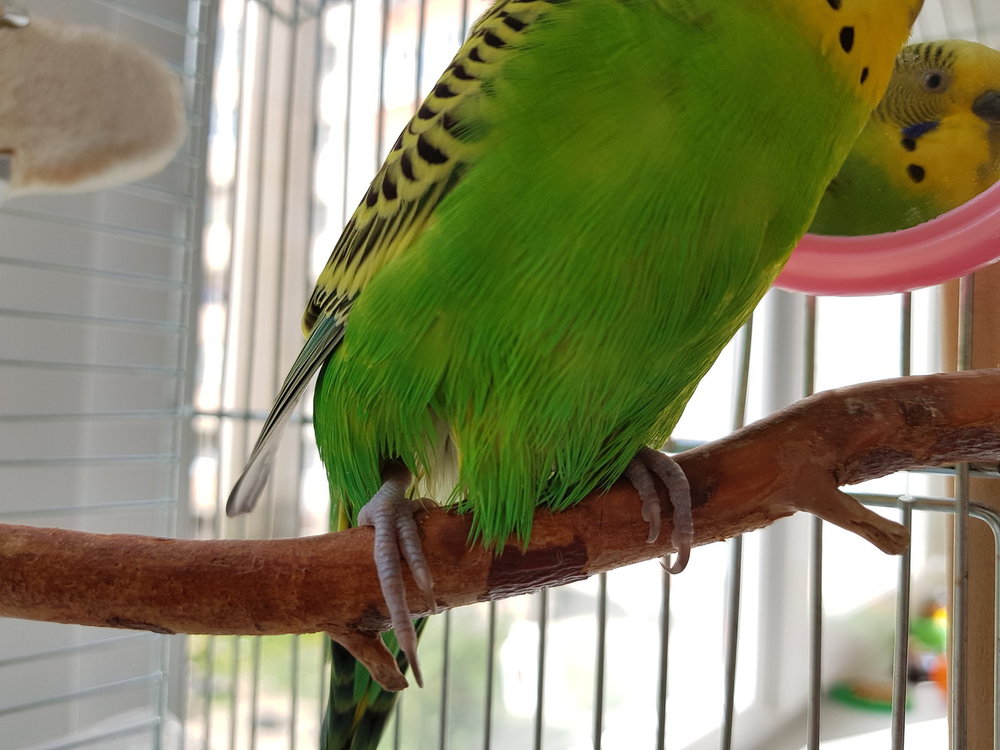 20180512_155502.jpg