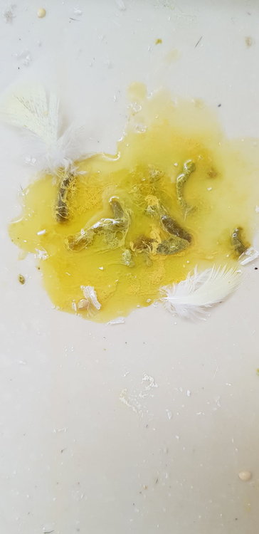 20180514_164544.jpg
