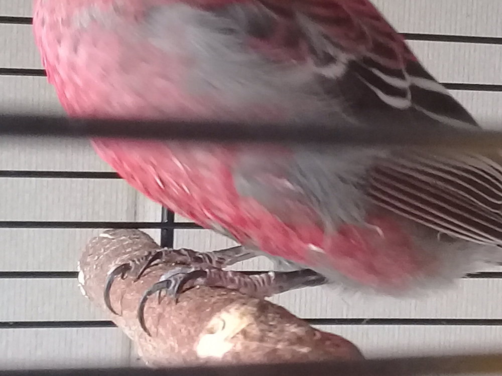 20180519_095609.jpg