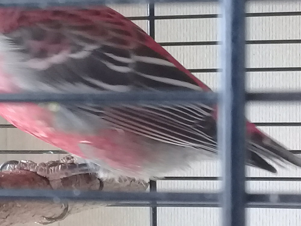 20180519_095632.jpg