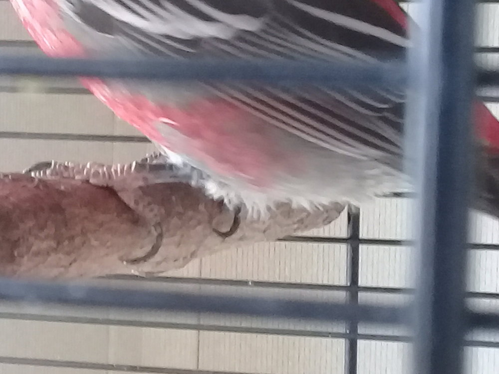 20180519_095723.jpg