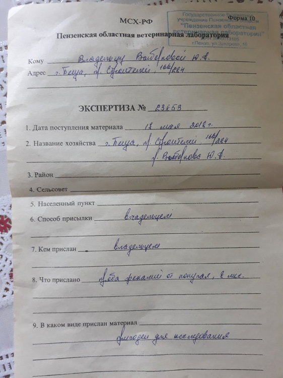 20180522_115559.jpg