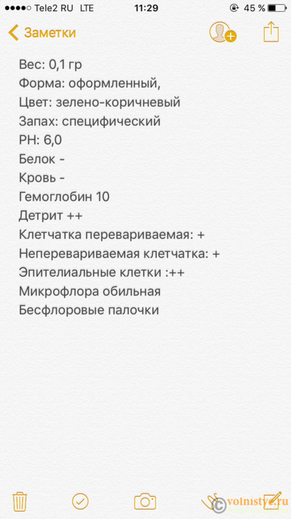 2250CE88-343C-43C9-A56A-2D7D943D0E1D.png