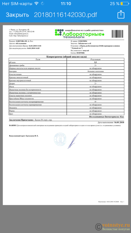 363E74B3-1EE6-4CEA-9385-EBF36F565470.png
