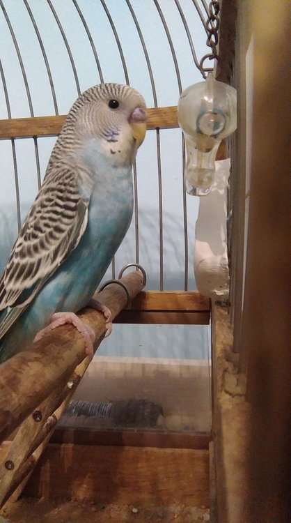 IMAG0240.jpg