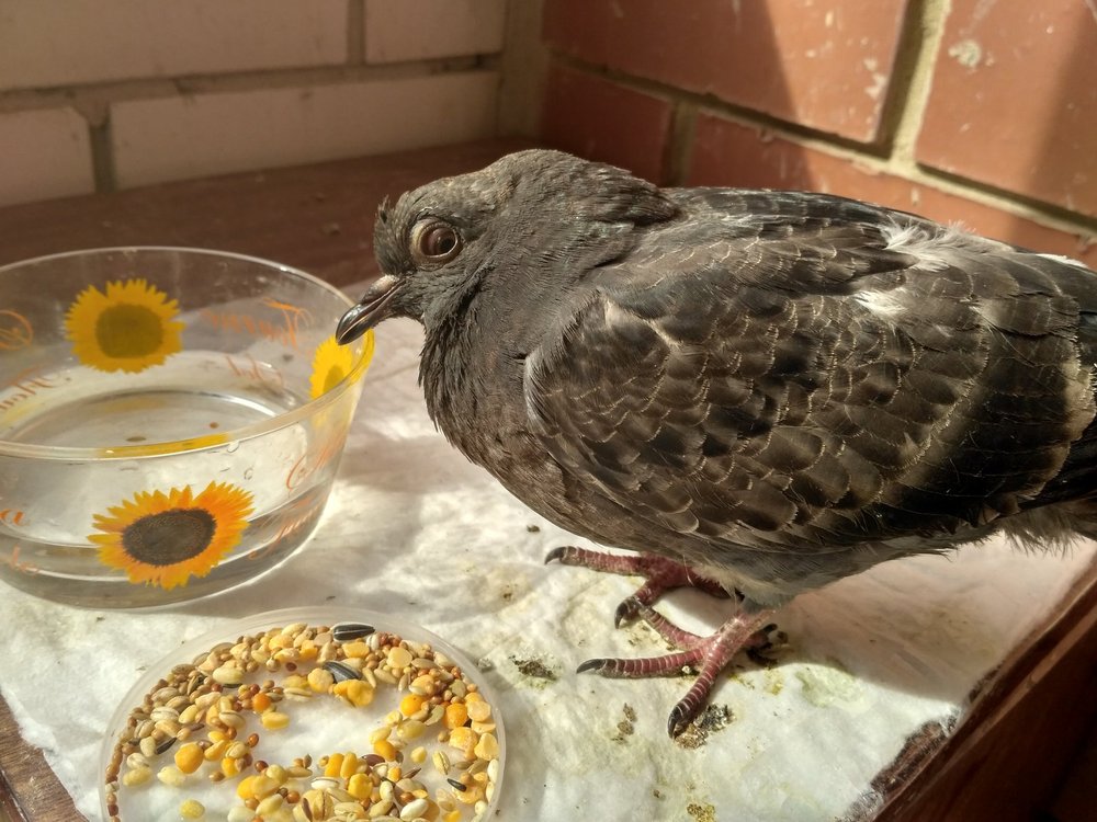 IMG_20180505_134747_HDR.jpg