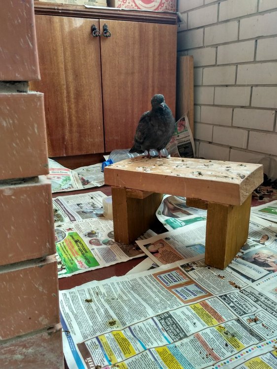 IMG_20180509_113622_HDR.jpg