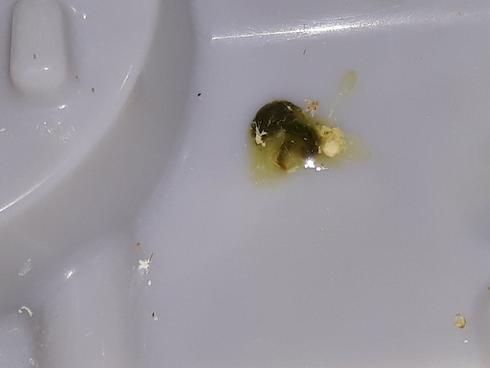 2018-06-26 20.59.53.jpg
