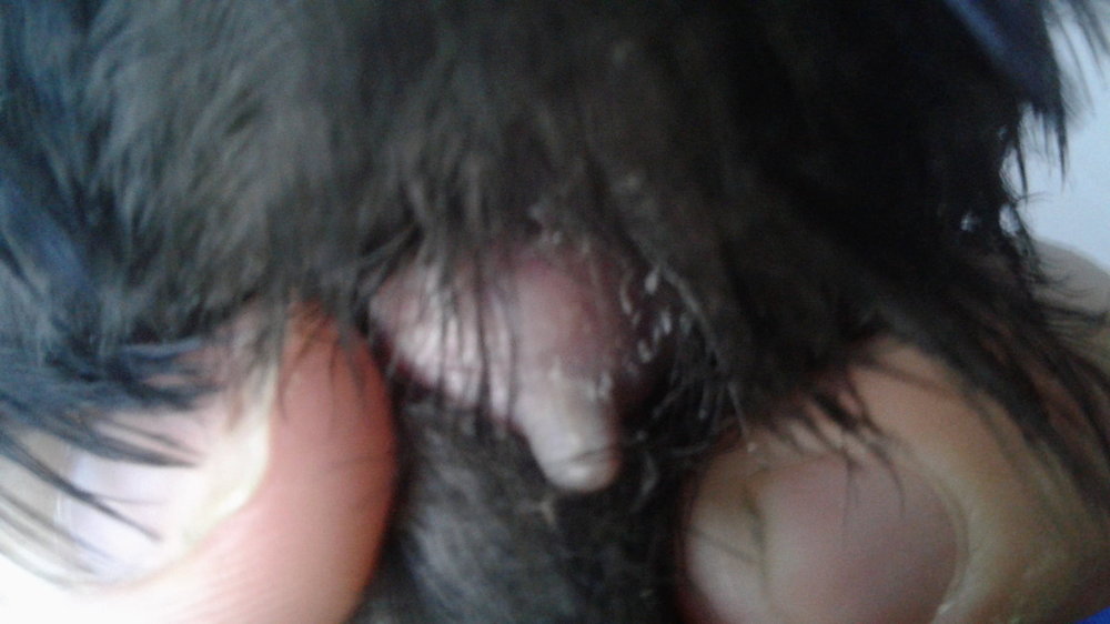 20180608_055826.jpg