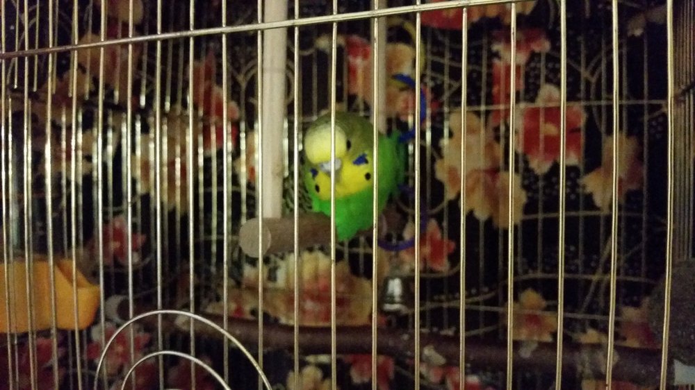 20180620_084416.jpg