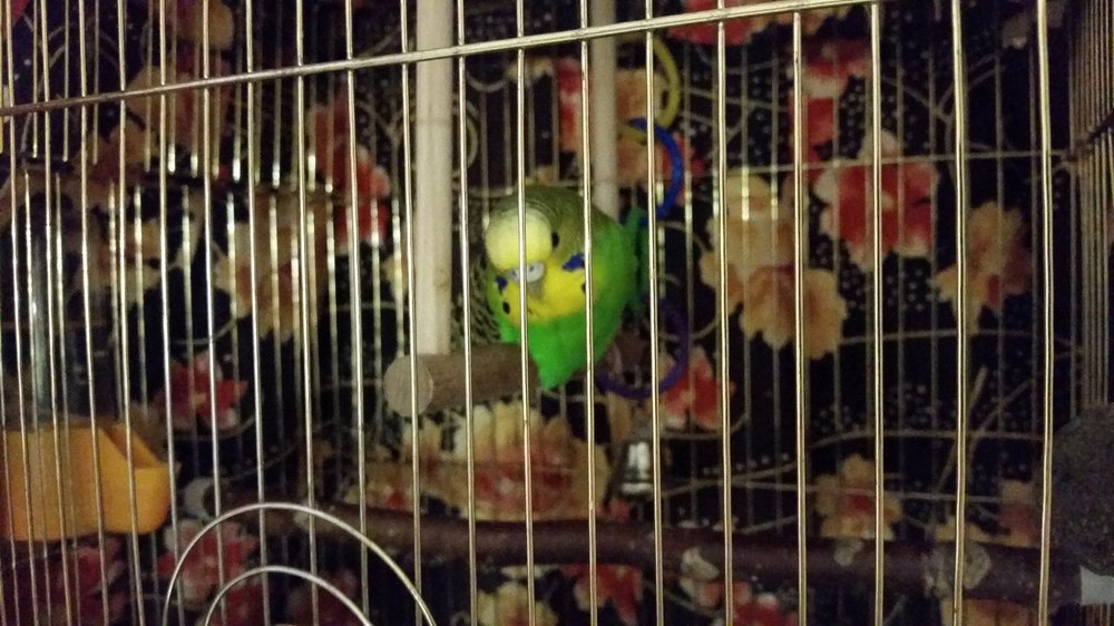 20180620_084418.jpg