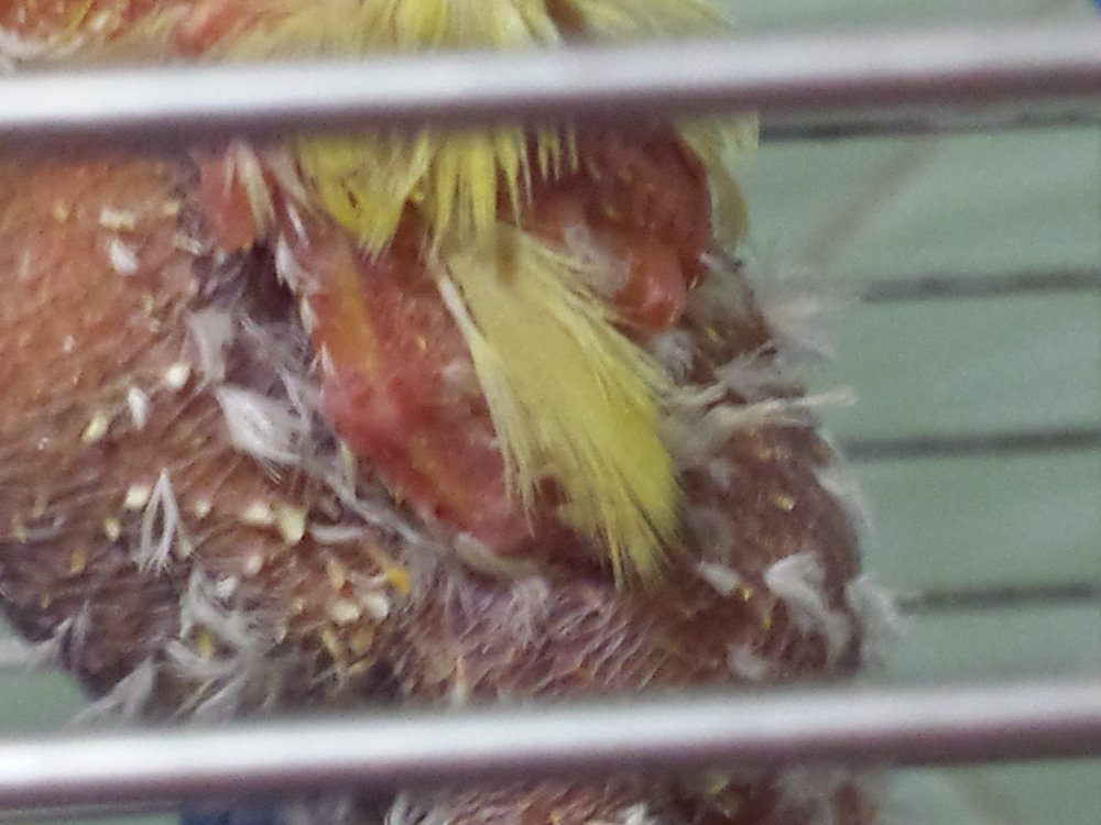 20180624_153037.jpg