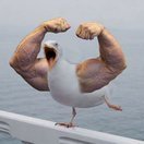 Ланс
