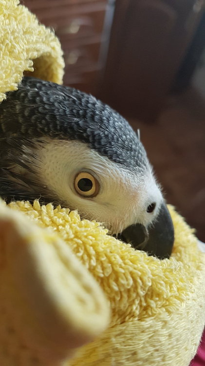 20180711_132420.jpg