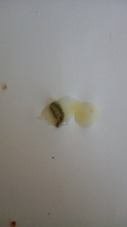 20180715_112751.jpg