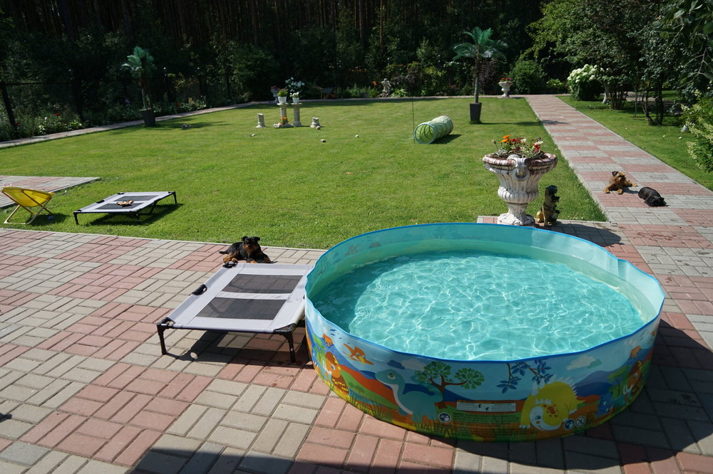 DSC05201.JPG