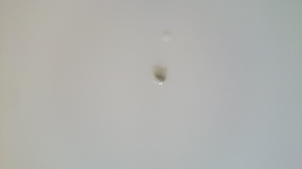 DSC_0760.thumb.JPG.941d704f91a2e4792bb88f8ff7082ad8.JPG
