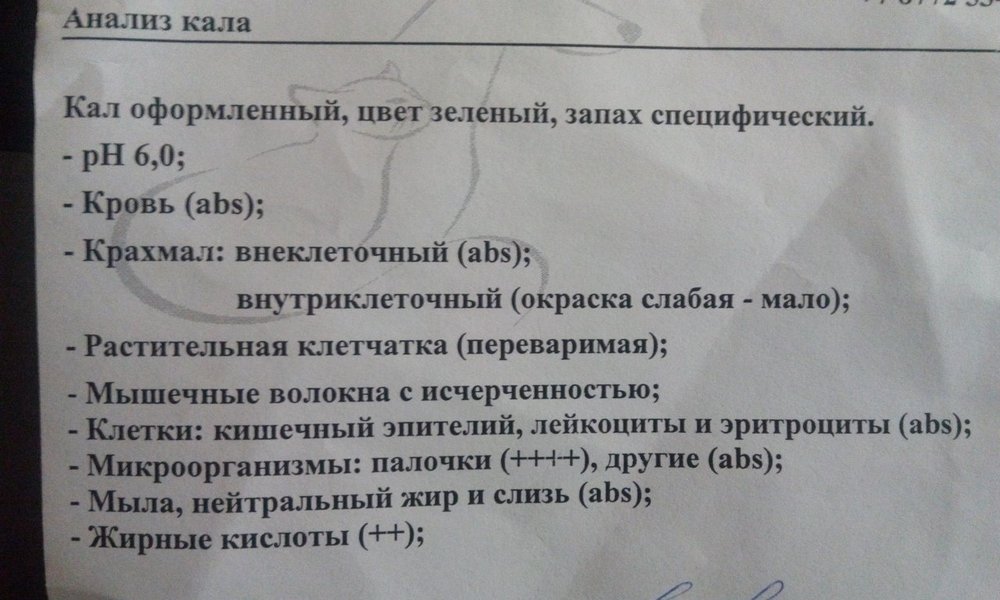 H9O4fB_-KJc.jpg