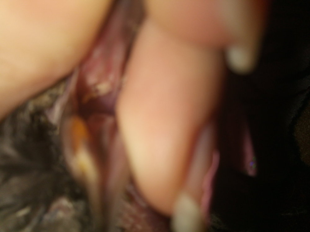 P80712-134835.jpg