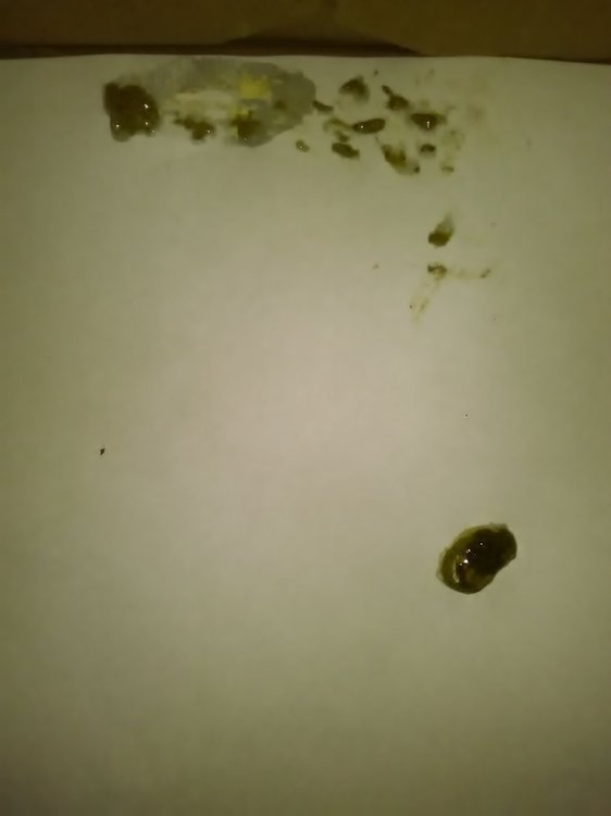 P_20180731_001721.jpg