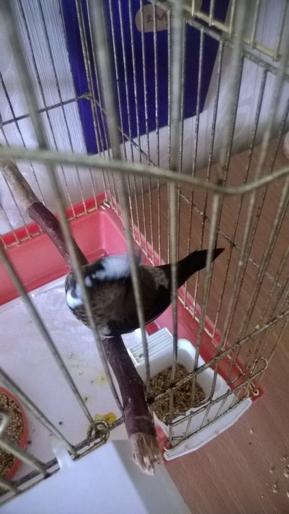 WP_20180629_001.jpg