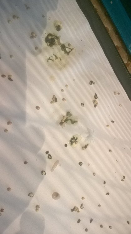 WP_20180704_16_57_06_Pro.jpg