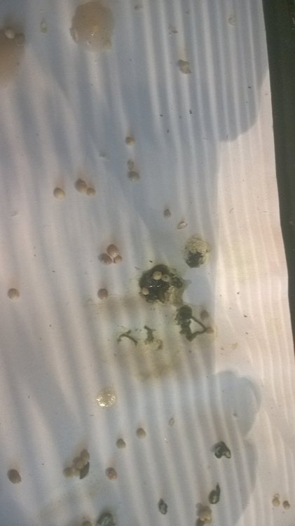 WP_20180704_16_57_26_Pro.jpg