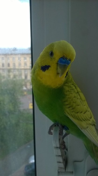WP_20180706_16_14_13_Pro.jpg