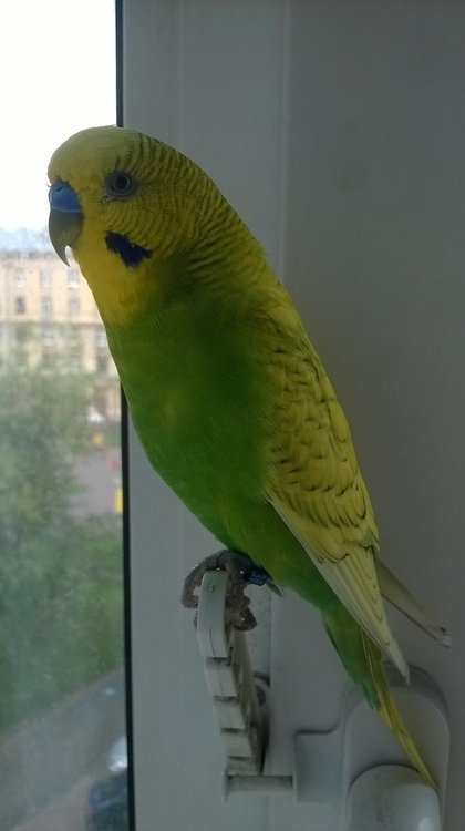 WP_20180706_16_14_18_Pro.jpg