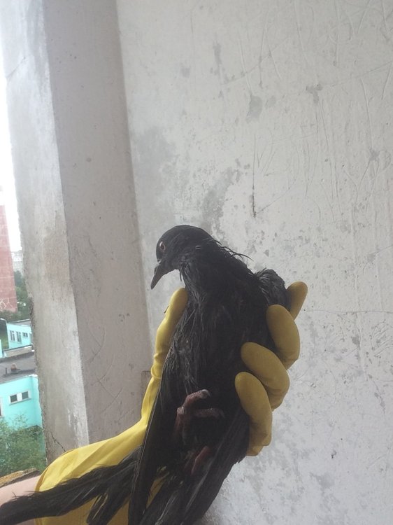 image.jpeg