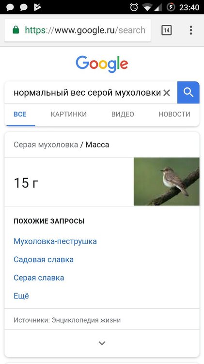 wOT40NhPm-M.jpg