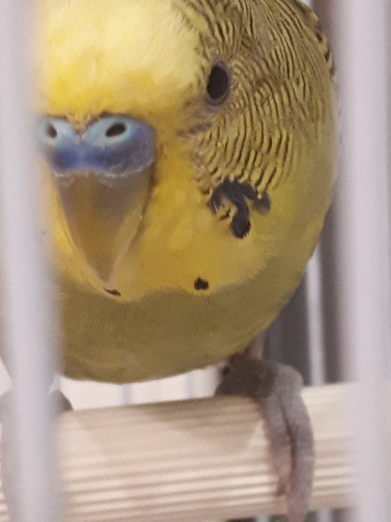 20180823_204950.jpg