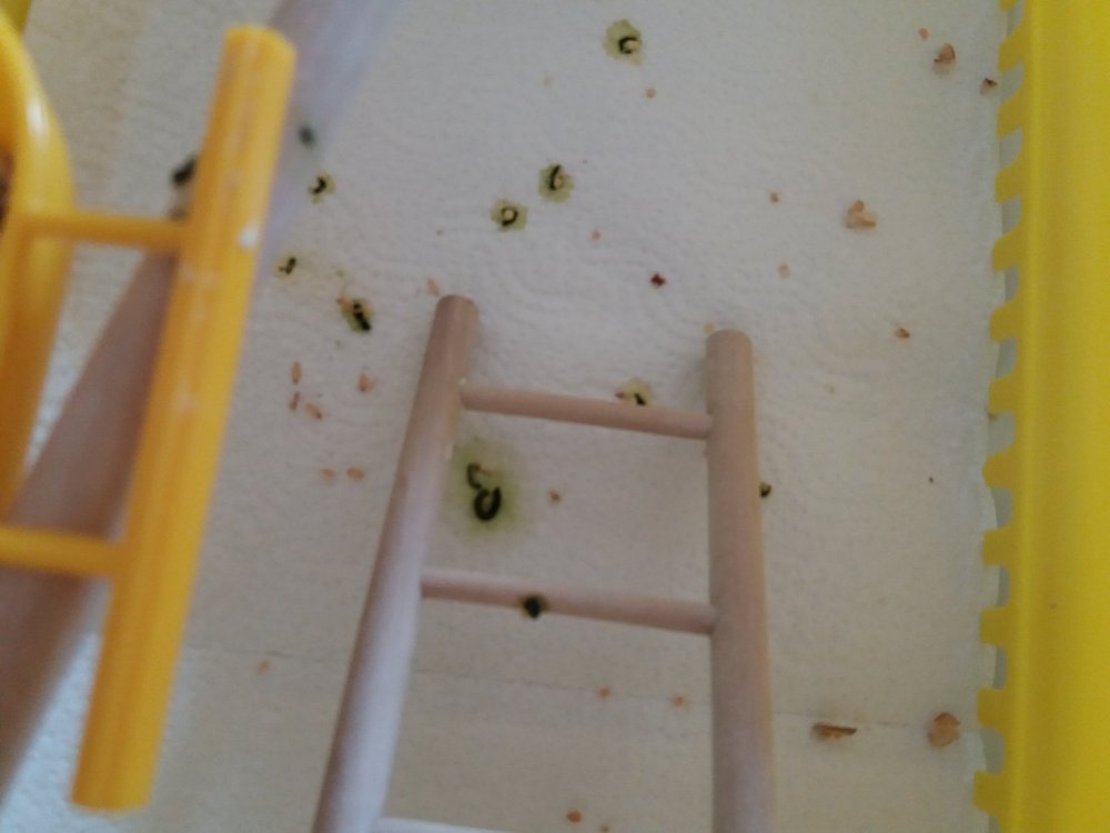 20180824_124402.jpg