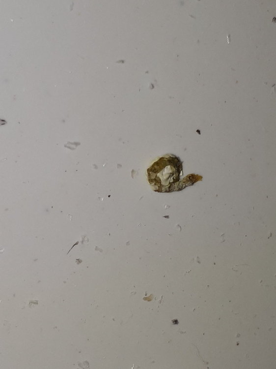 20180824_205314.jpg