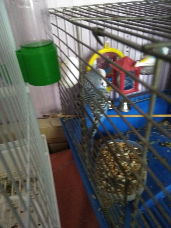 IMG_20180827_181511.jpg