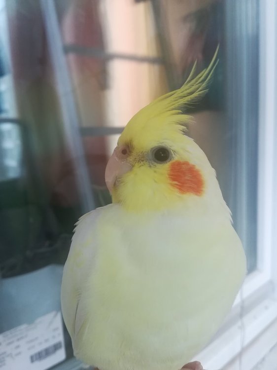 RidpuAWtwQg.jpg